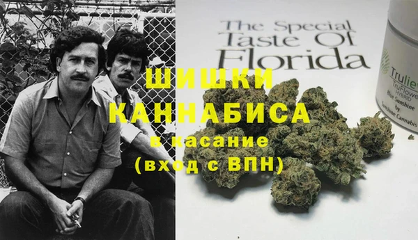 шишки Инта