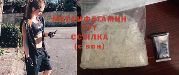 шишки Инта