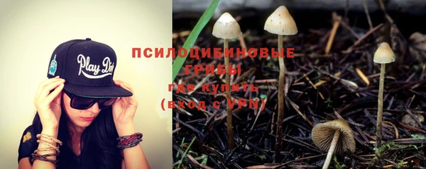 сатива Иннополис