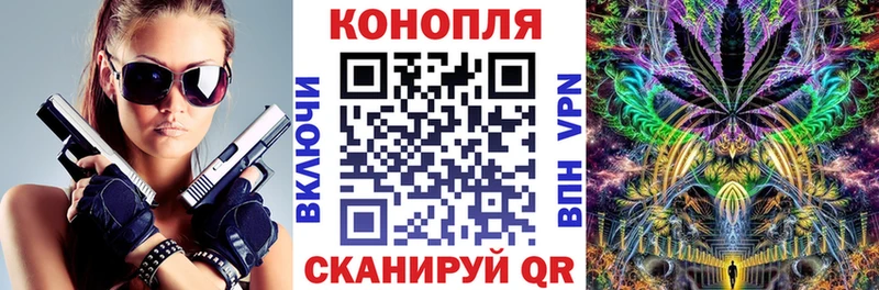 Бошки Шишки сатива  мега tor  Ивангород 